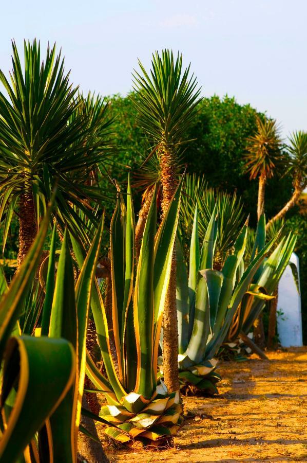Casara Seis O Casara Siete - Tu Casa A 100m De La Playa De Casa di campagna *