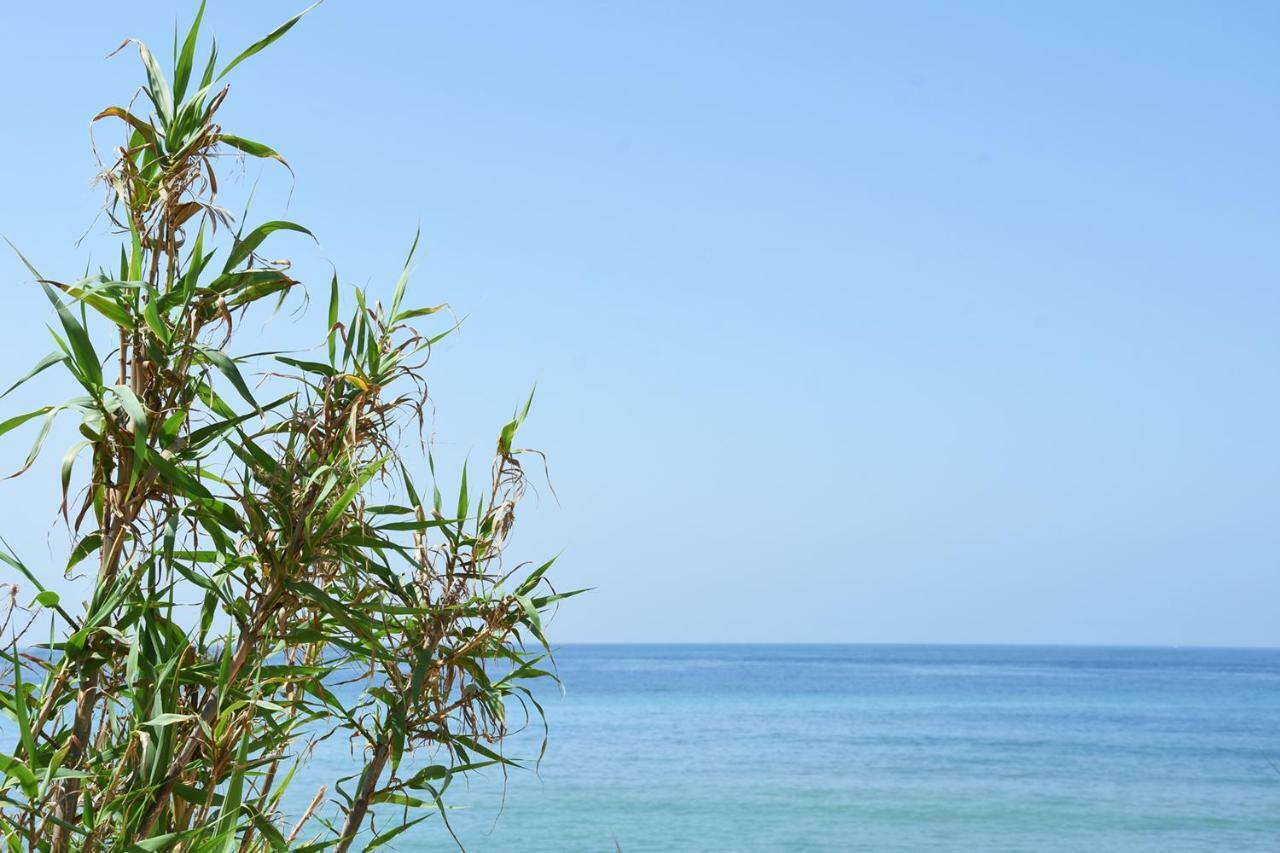 Casara Seis O Casara Siete - Tu Casa A 100m De La Playa De Casa di campagna *