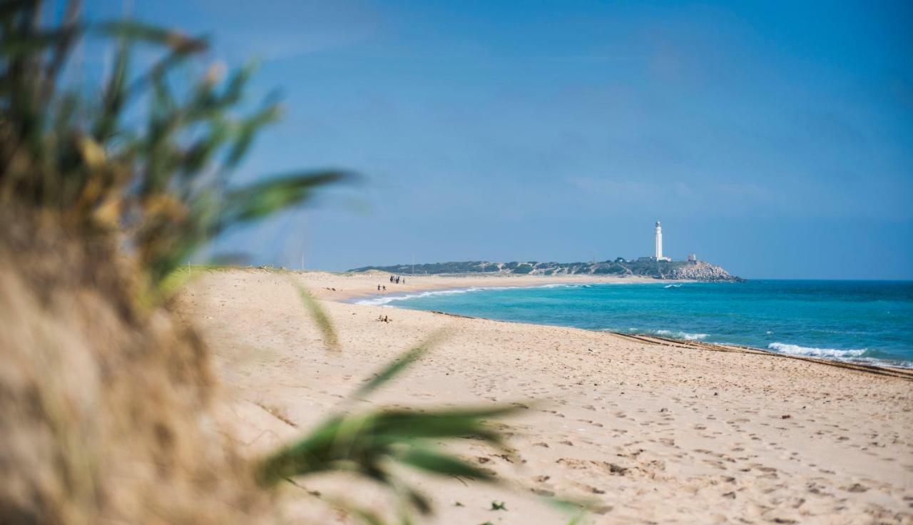 Casara Seis O Casara Siete - Tu Casa A 100m De La Playa De Landhuis Zahora